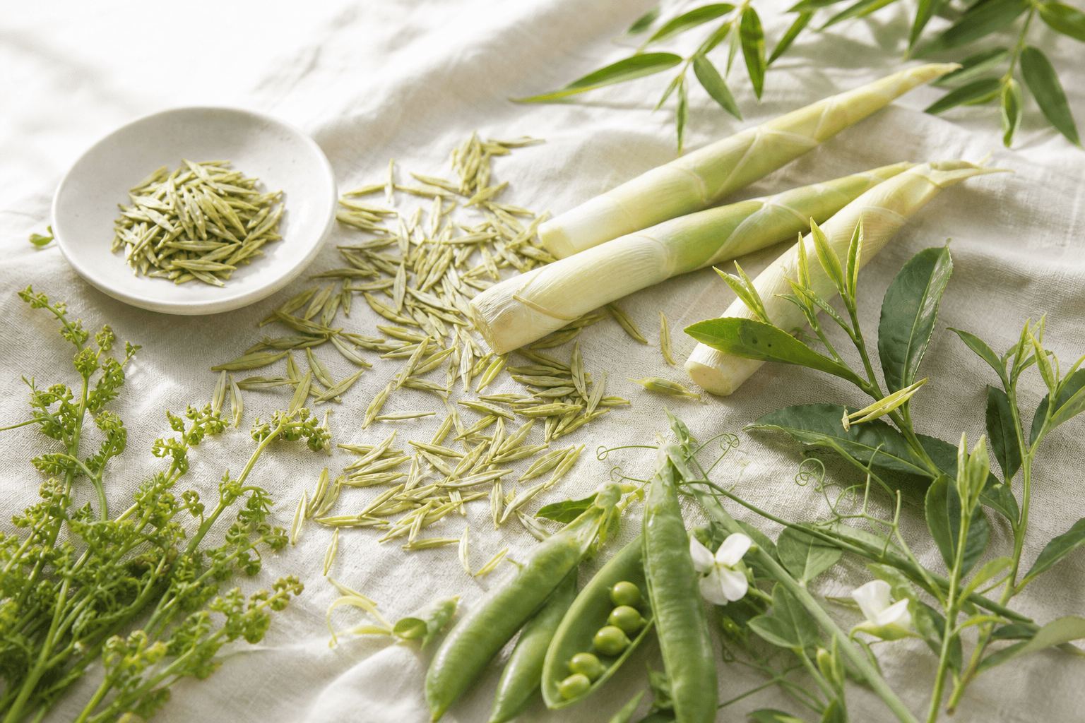 Pale spring tea leaves with fresh bamboo shoots and bright green textures arranged on cream linen