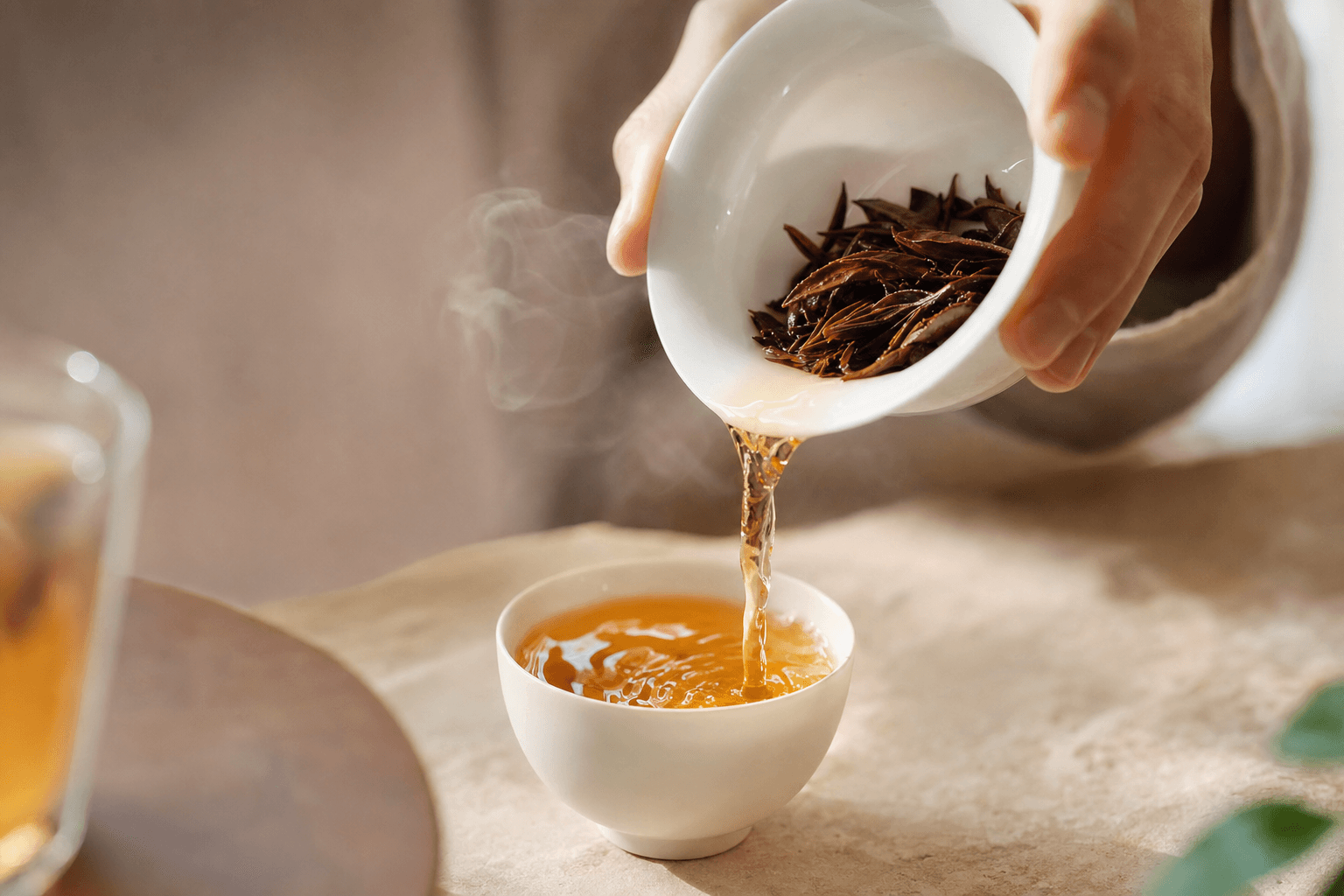 Golden-brown Ember Crown Reserve Dark Oolong poured from a white gaiwan into a small porcelain cup, steam rising